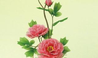 丝网花图片欣赏 丝网花图片欣赏