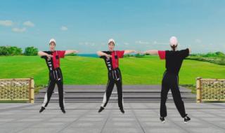 负我不负她原唱完整版 负我不负她原唱完整版